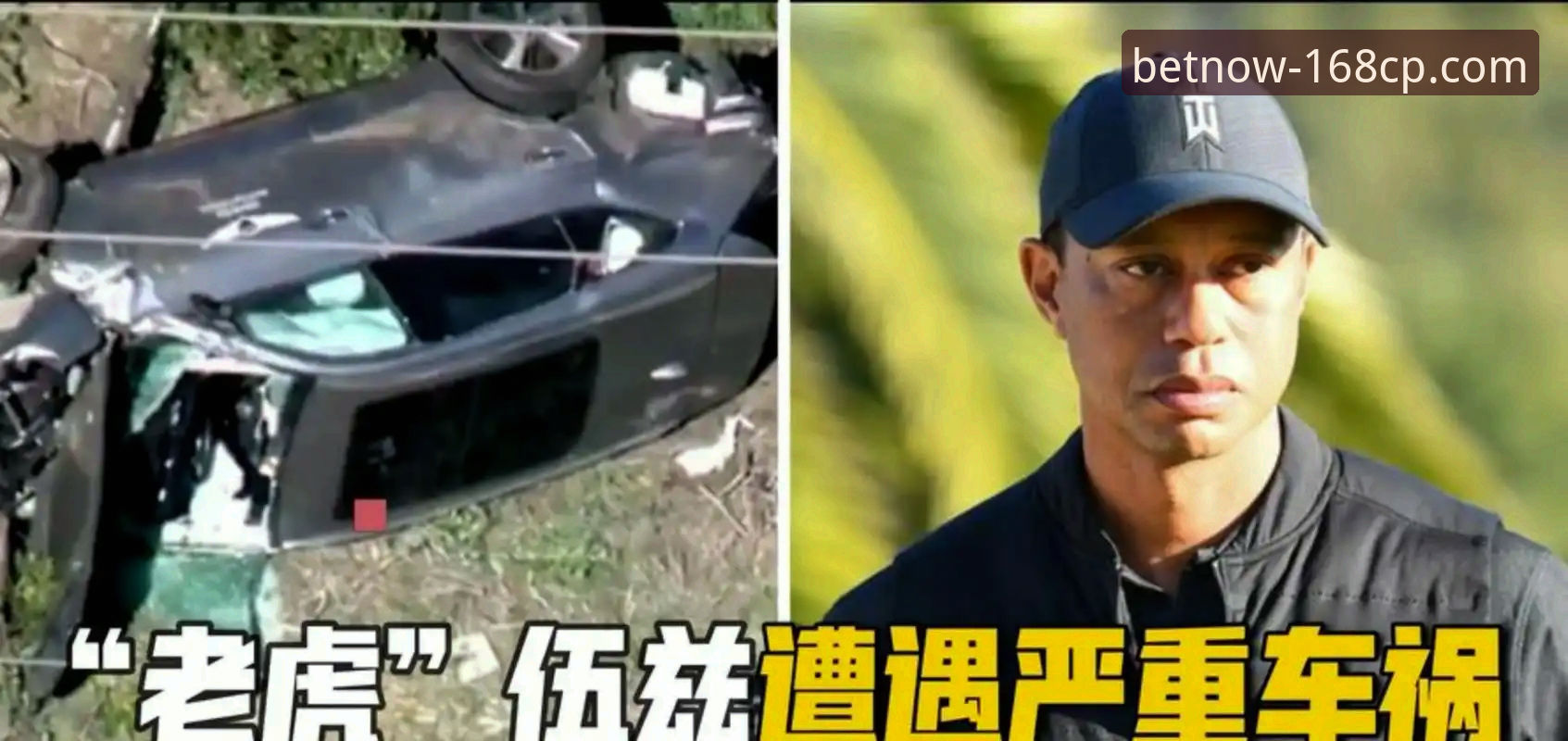 老虎伍兹药物驾驶事件深度评测：从赛场传奇到争议漩涡的全面解析
